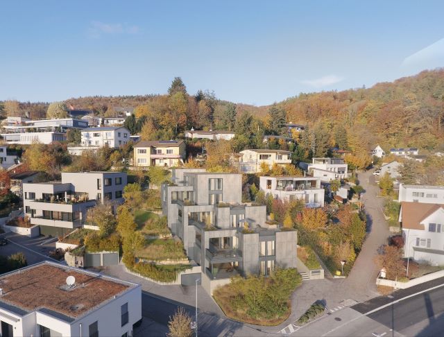 Titelbild Referenz: Terrassenhaus Nussbaumen